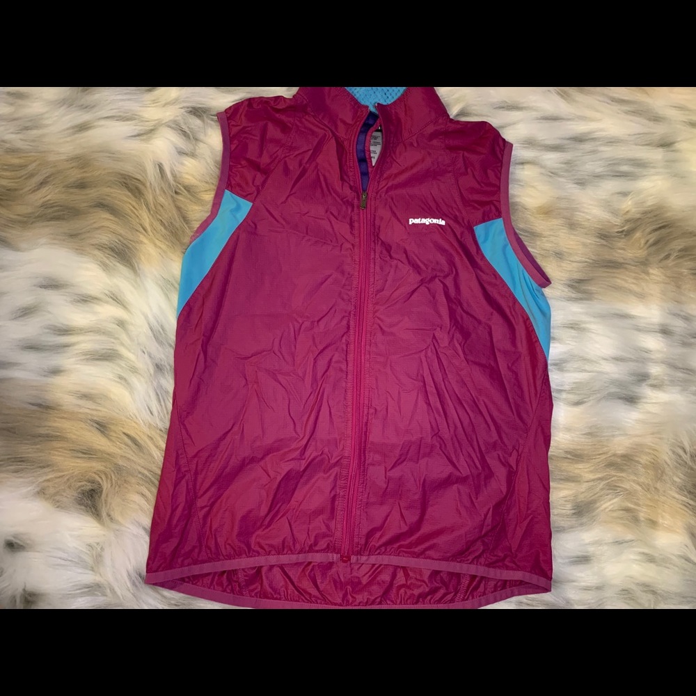 ✨ Patagonia Zippered Vest ✨